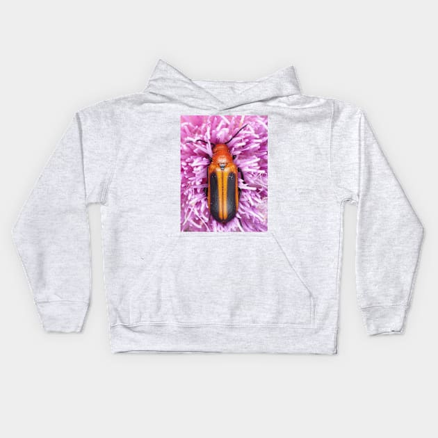 Blister beetle in Florida, identified as Nemognatha piazata Kids Hoodie by SDym Photography